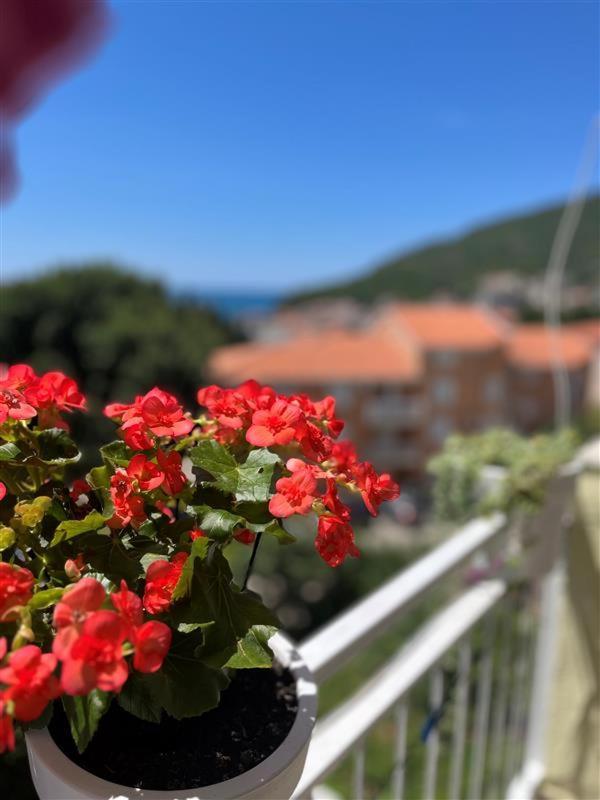 Apartmani Neda Bane Петровац Экстерьер фото